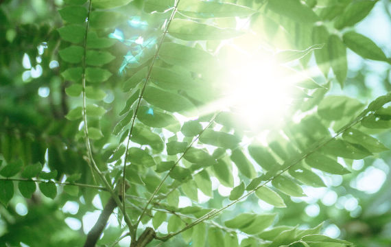 Il Progetto XPRATICA